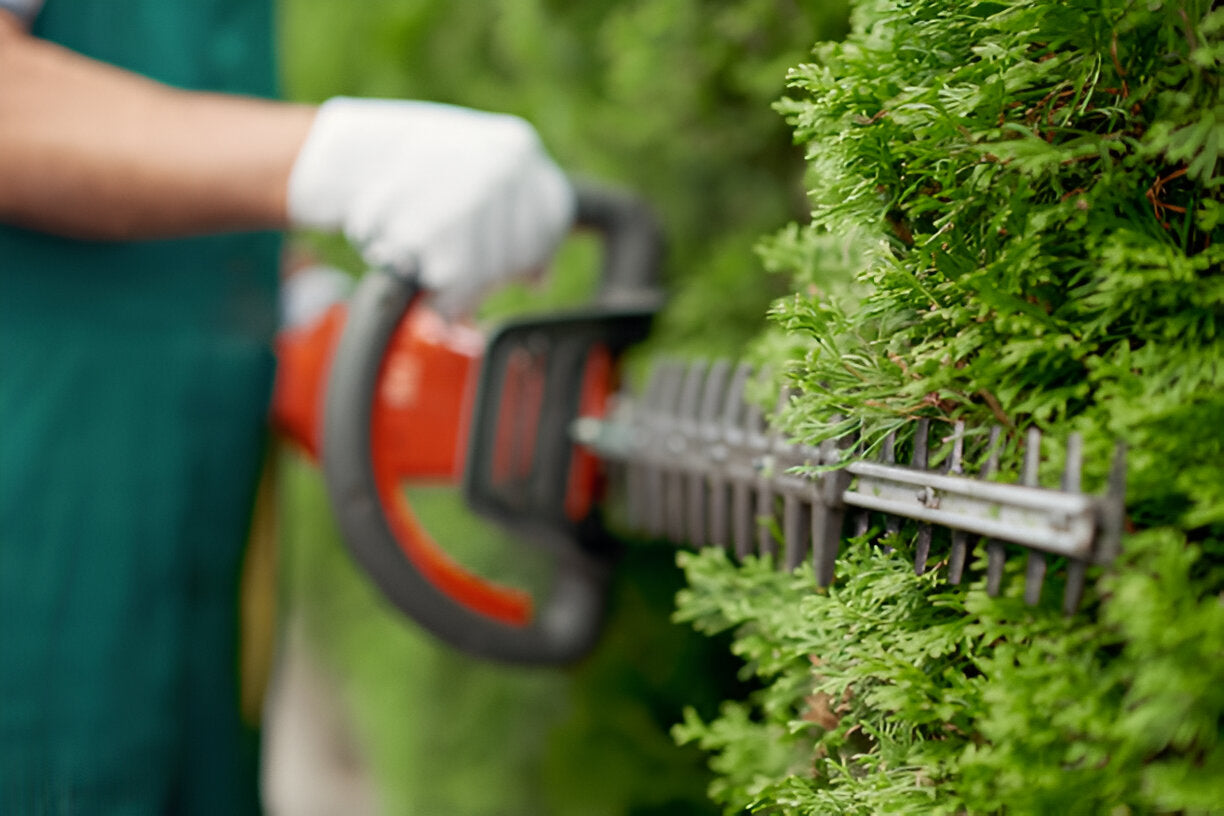 slider image 1620813069167db316-0